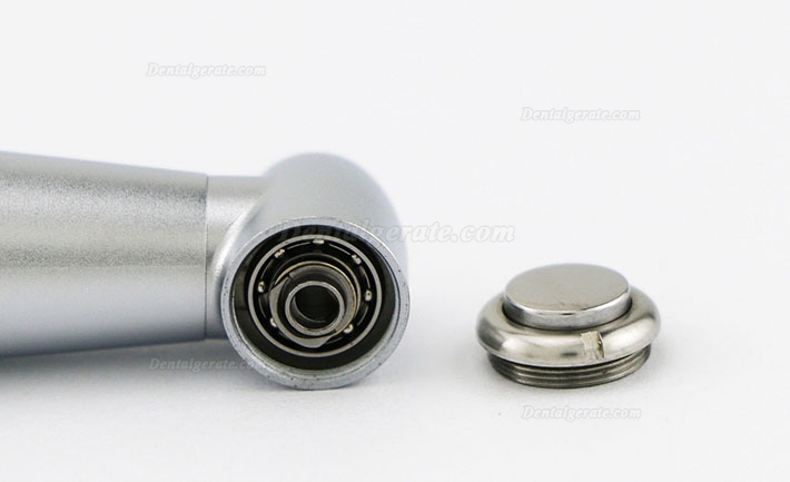 Being&reg; Rose 202-CA (PB) Faseroptisches Hand Winkelst&uuml;ck mit innerer Wassereinspritzung KAVO Kompatibel